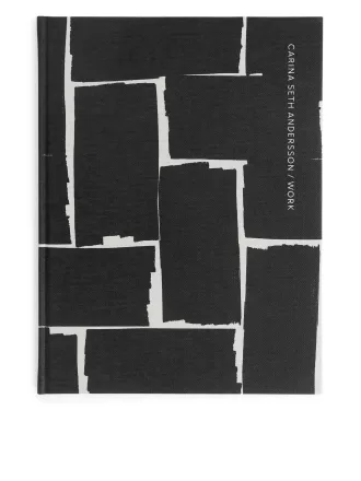 Carina Seth Andersson: Arbejde