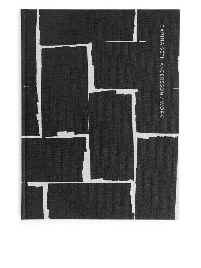 Carina Seth Andersson: Arbejde