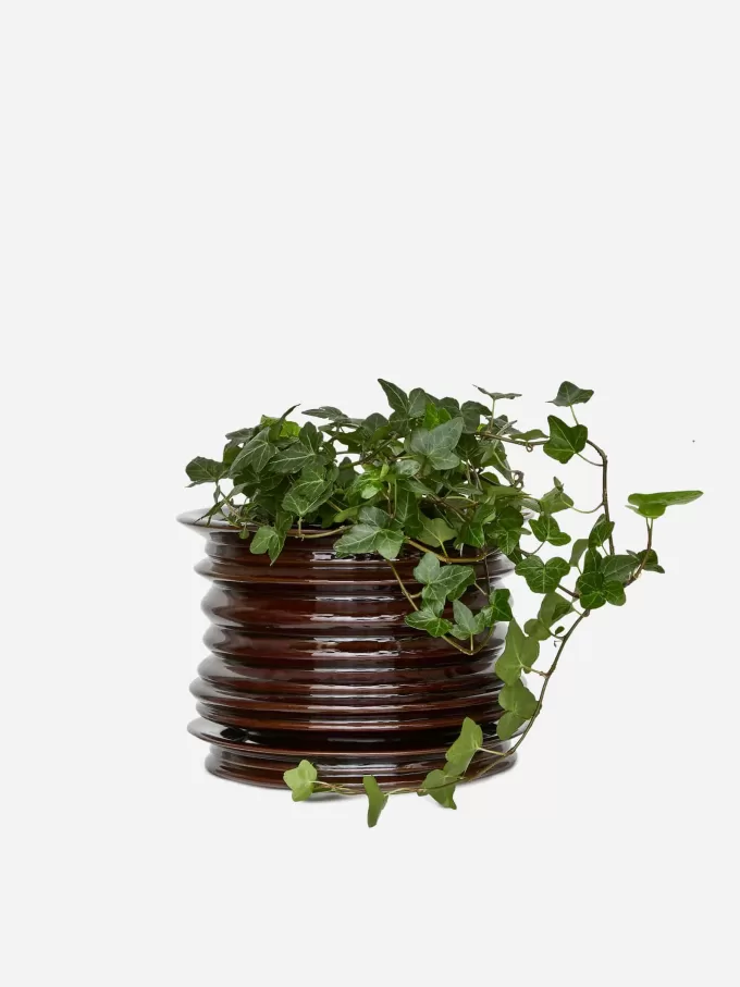 Keramisk plantepotte Keramisk plantepotte