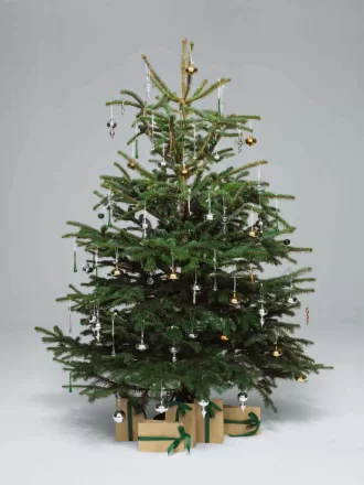 Metal Serpentine Ornament