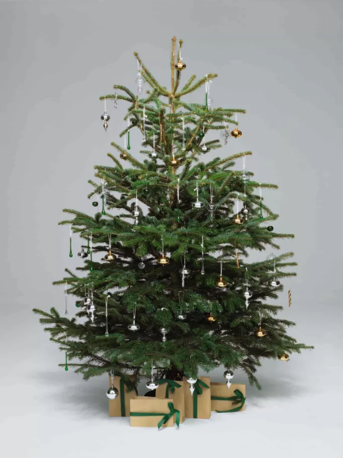 Metal Serpentine Ornament